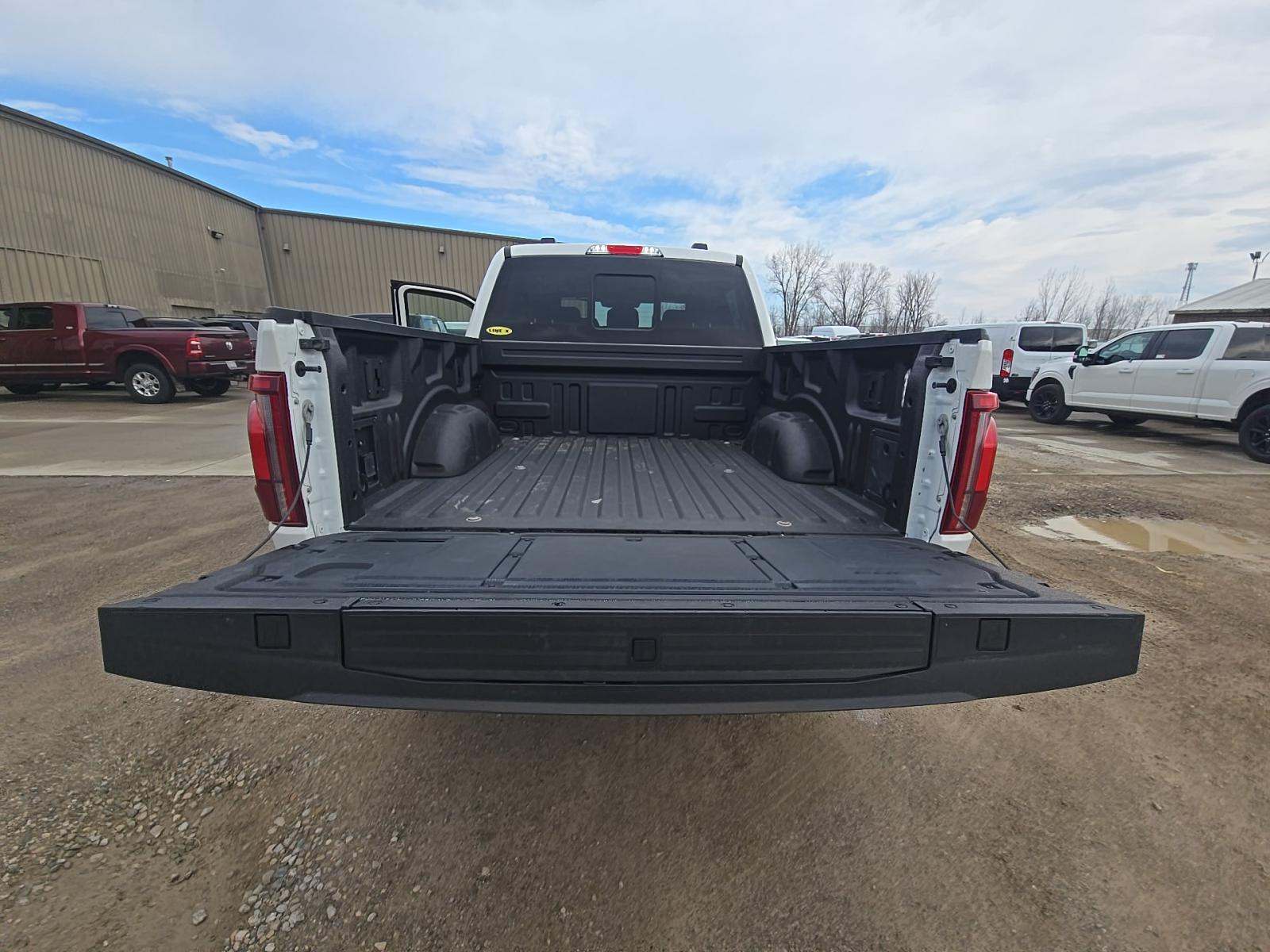 FORD F-150 - 10