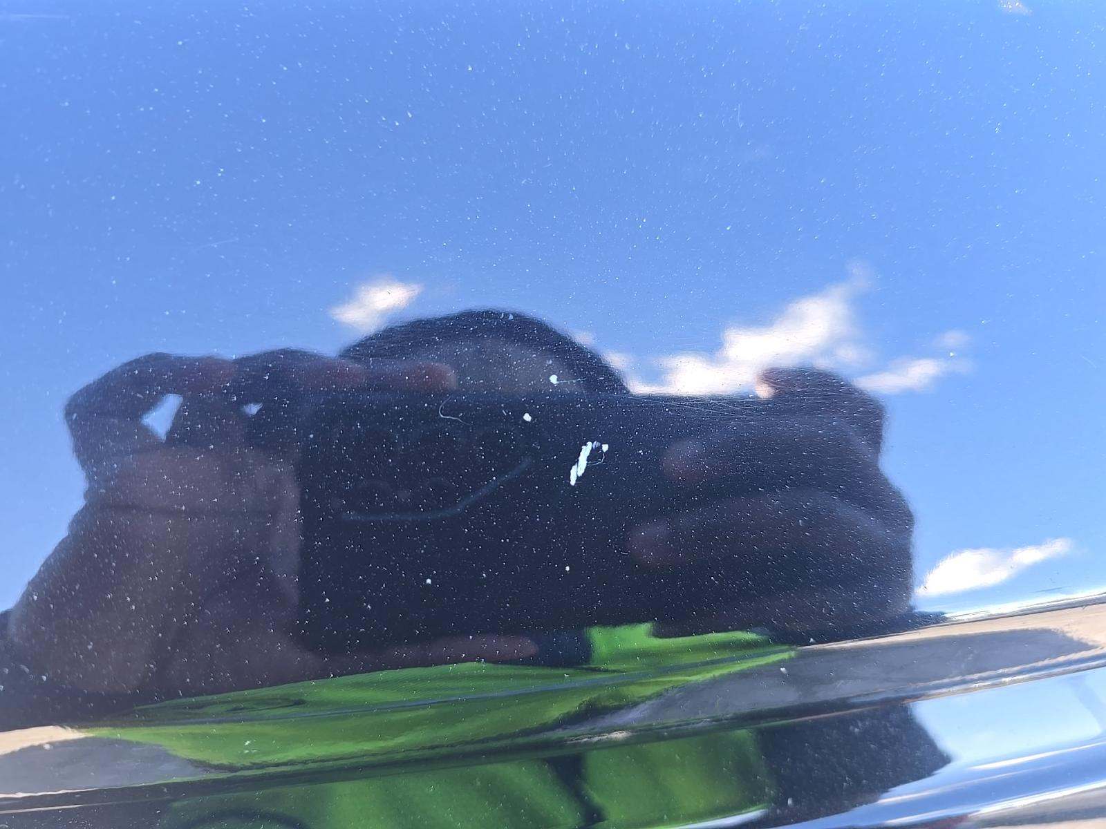 2024 Ford F-150 XLT AWD