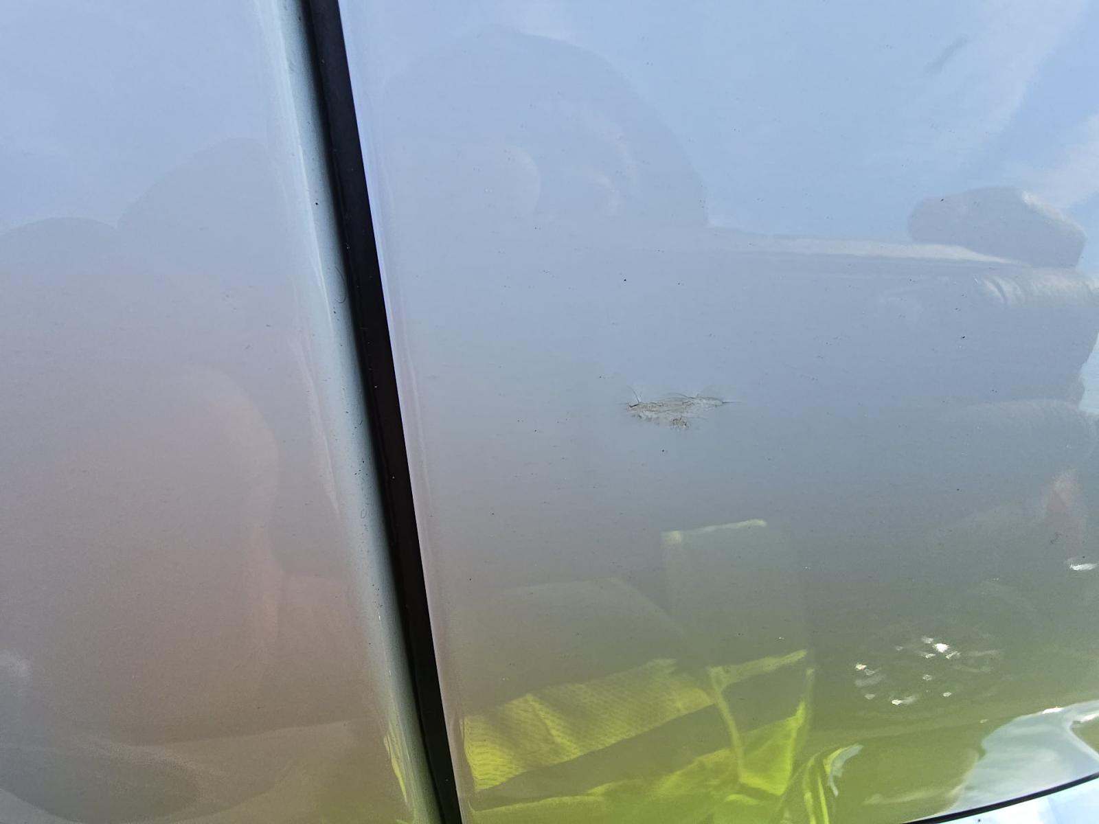 2024 Ford F-150 XLT AWD