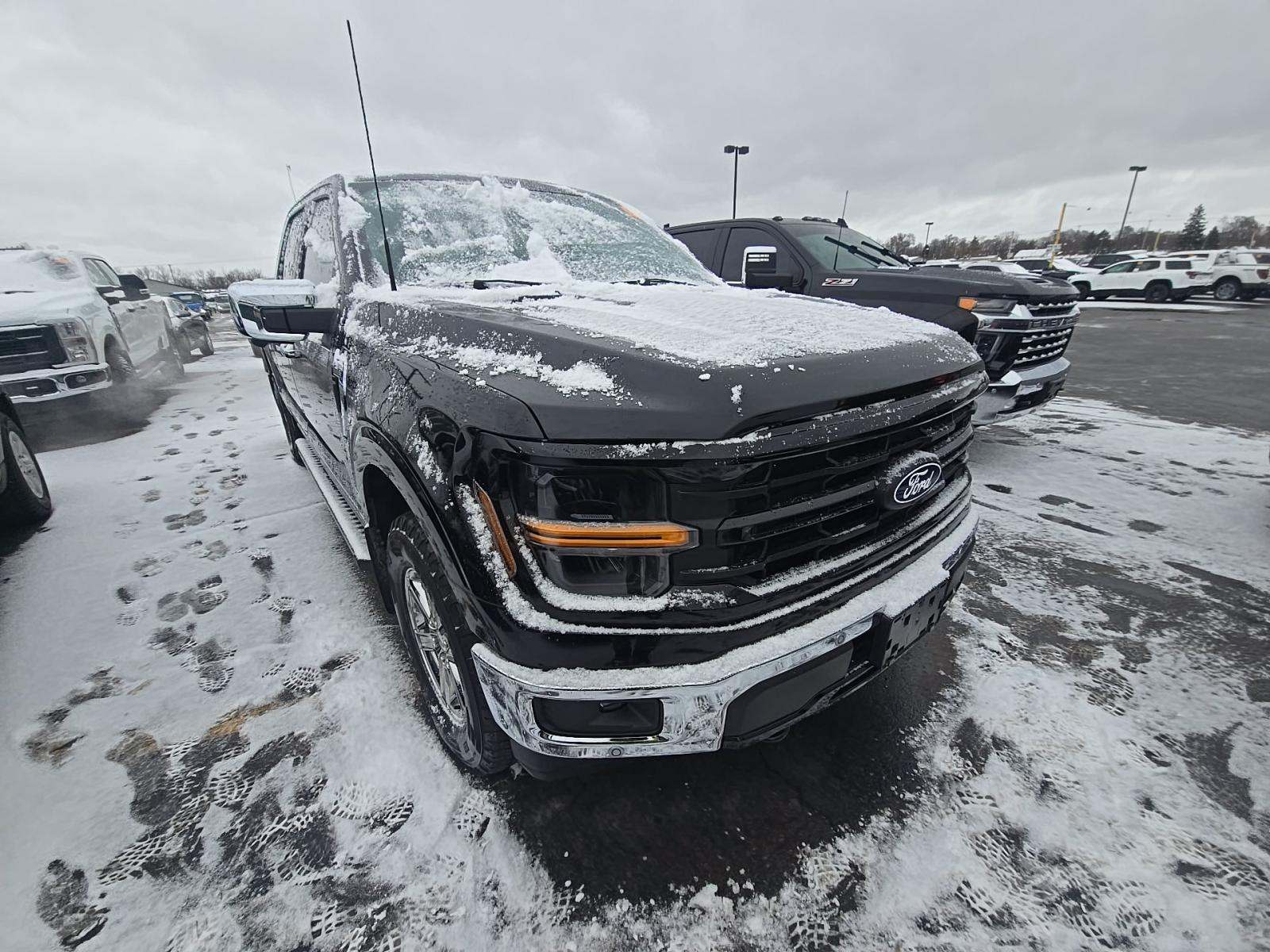 2024 Ford F-150 XLT AWD