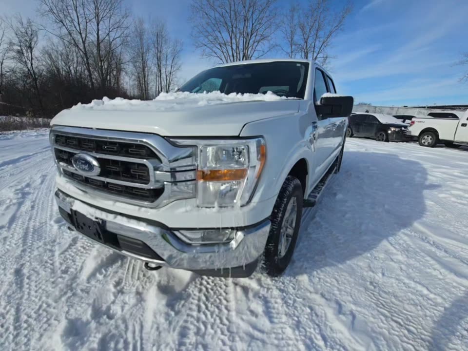 2023 Ford F-150 XLT AWD