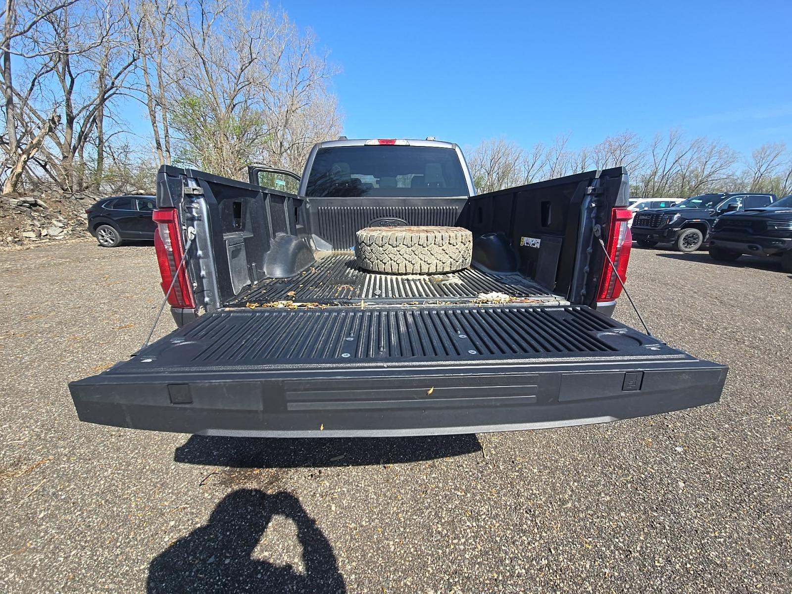 FORD F-150 - 10