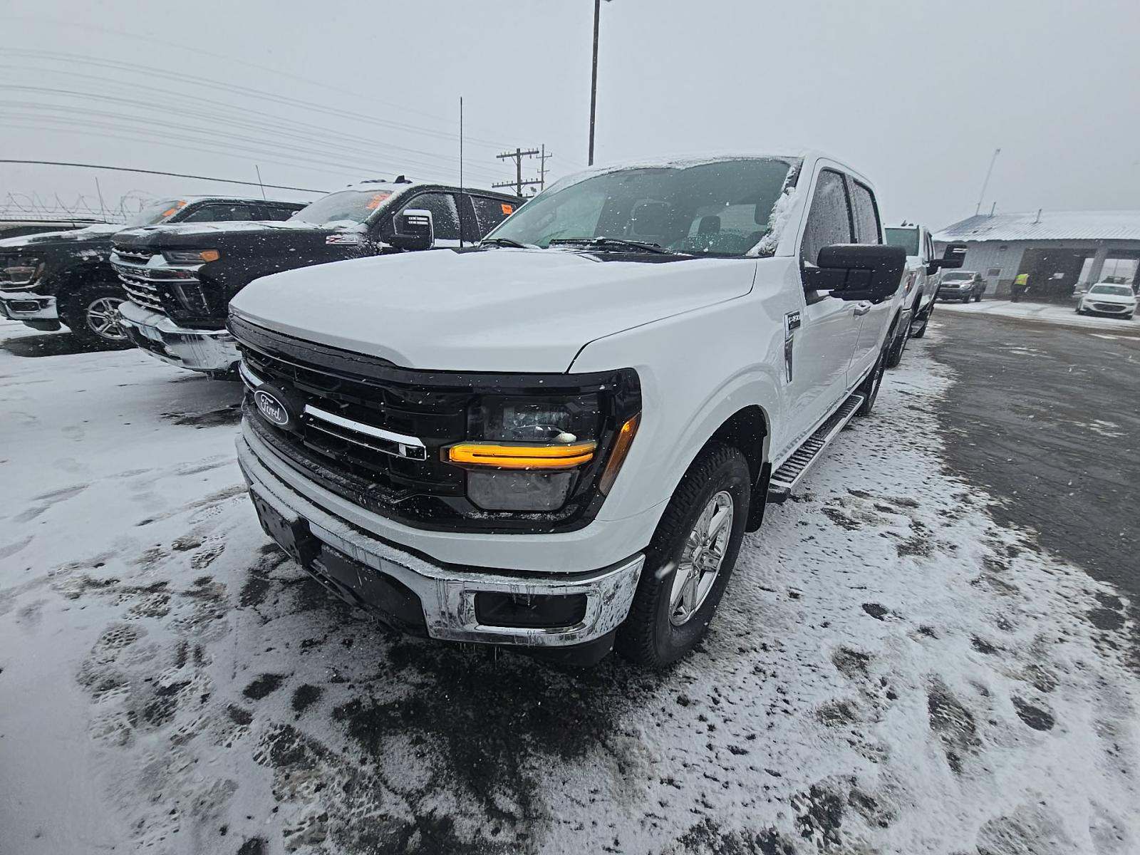2024 Ford F-150 XLT AWD