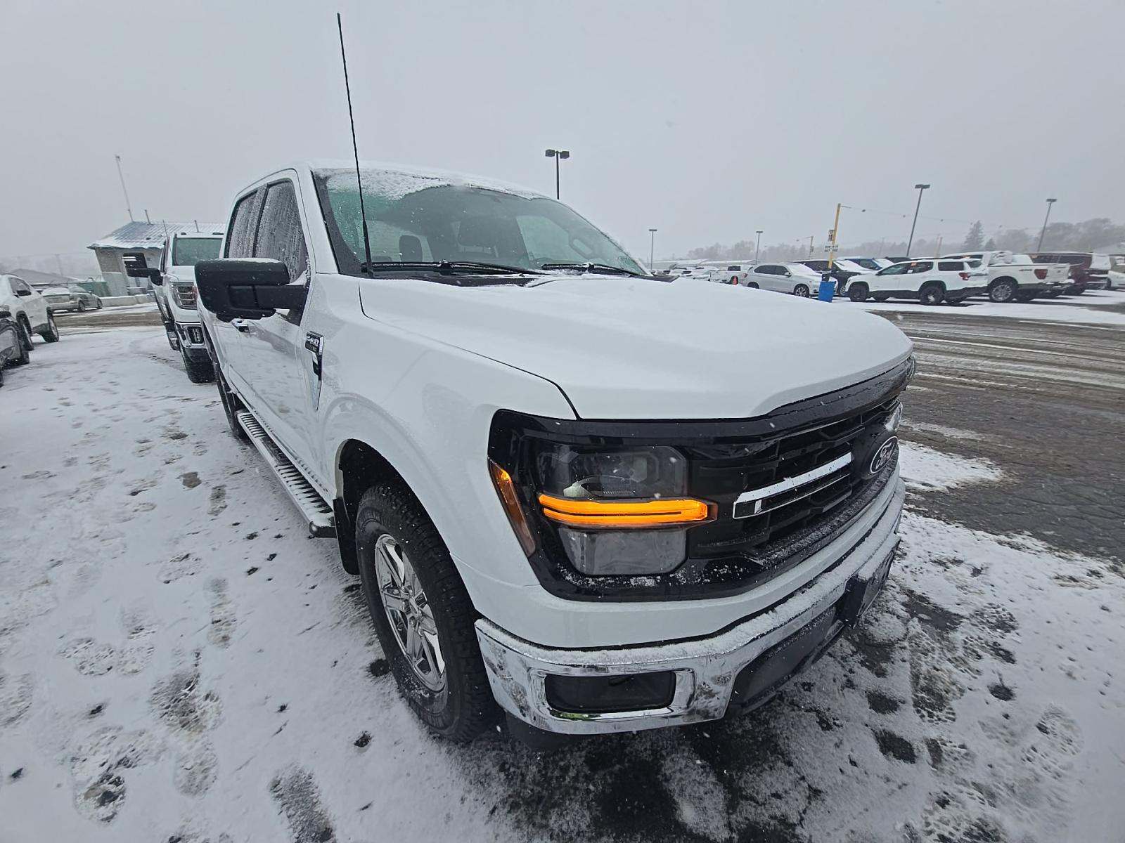 2024 Ford F-150 XLT AWD