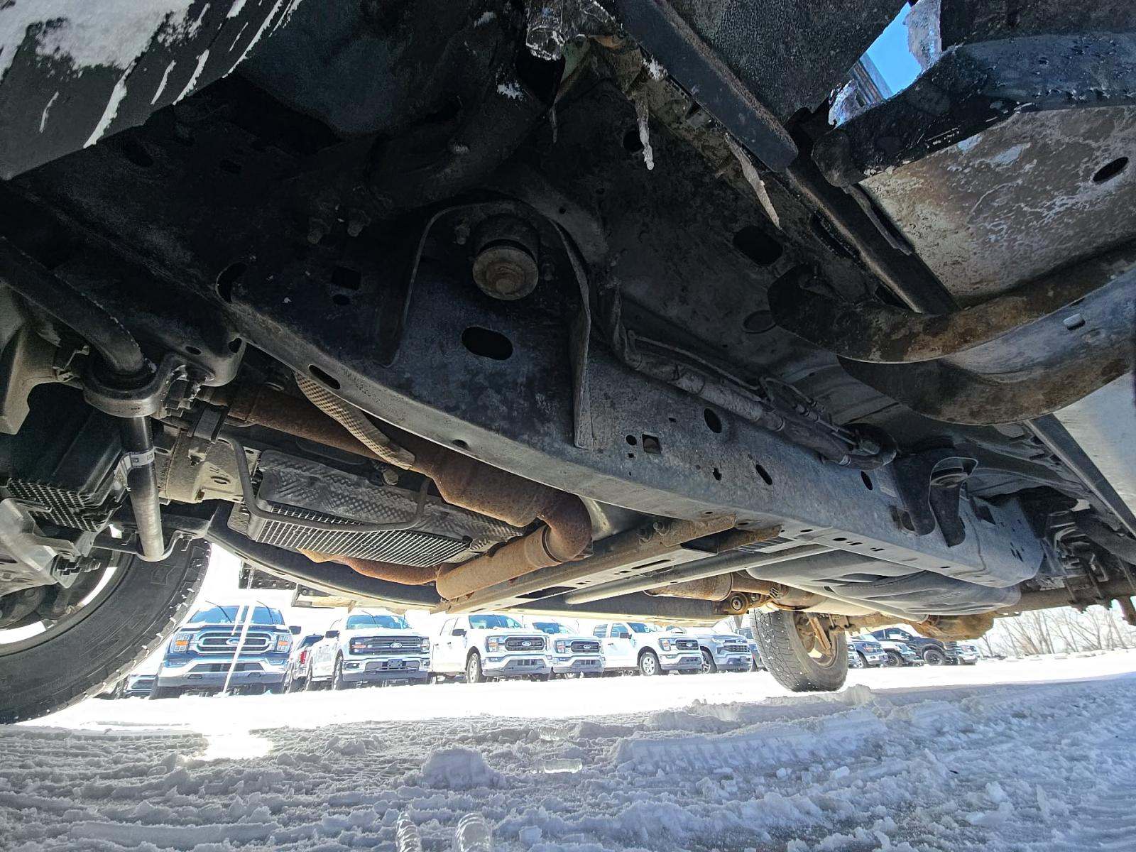 2023 Ford F-150 XLT AWD