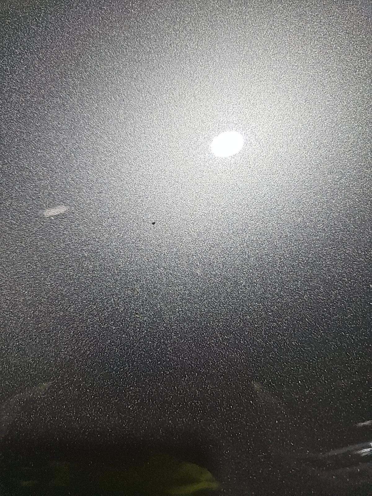 2016 Nissan JUKE SV FWD