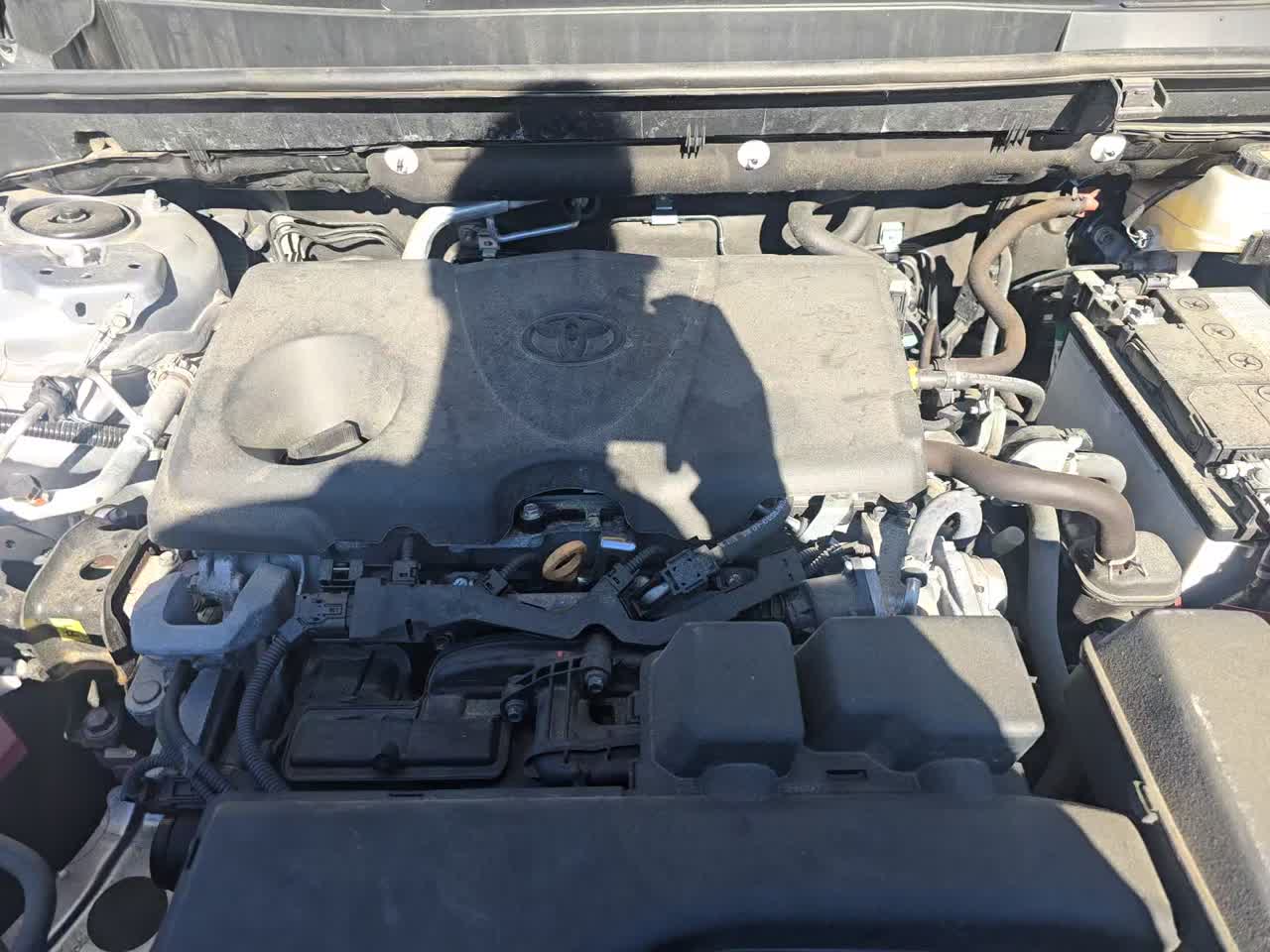 2024 Toyota RAV4 LE AWD