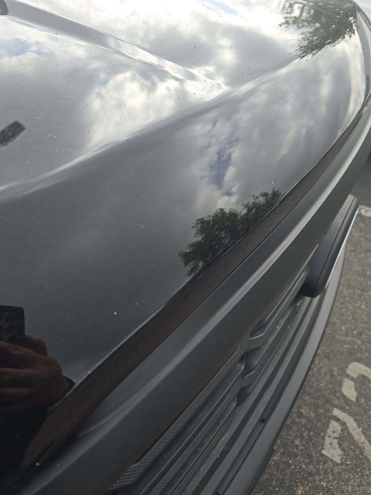 2024 Ford F-150 XL RWD