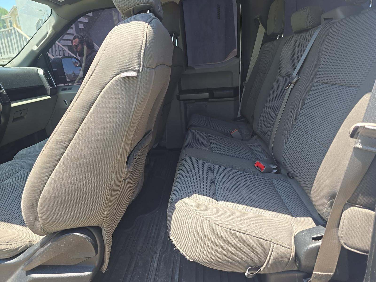 2019 Ford F-150 XLT RWD