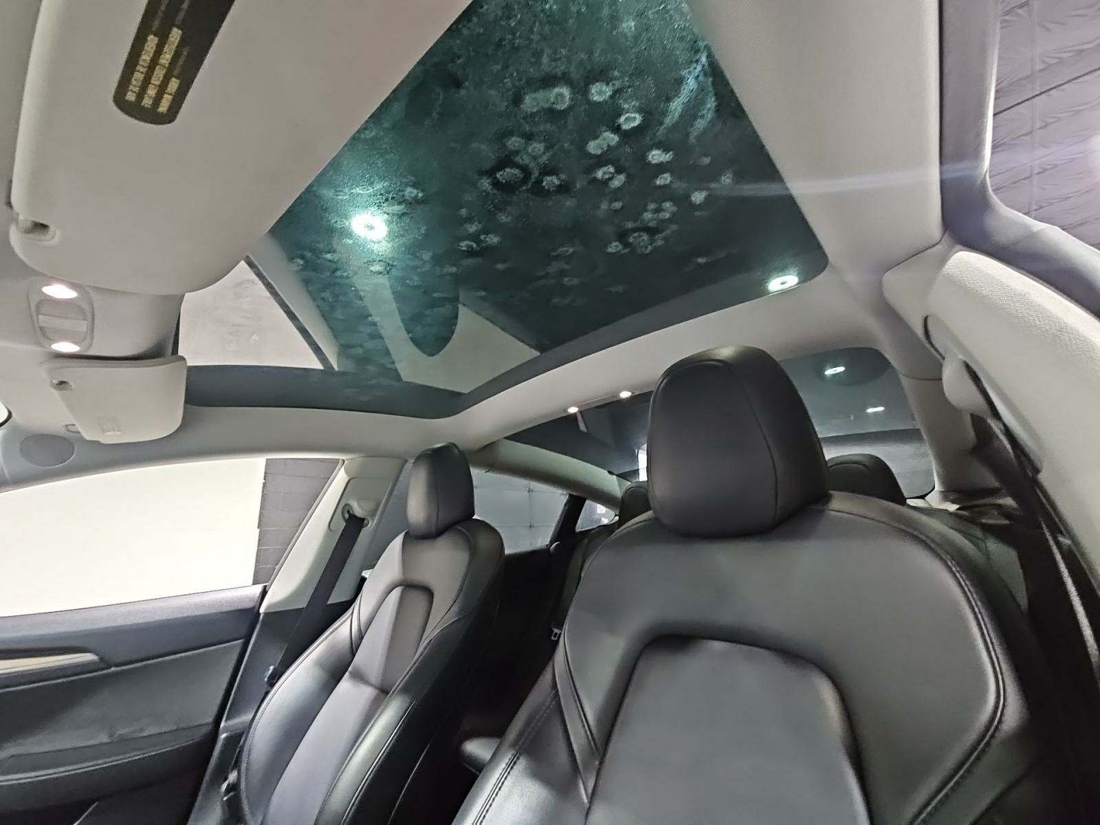 2021 Tesla Model 3 Standard Range Plus RWD