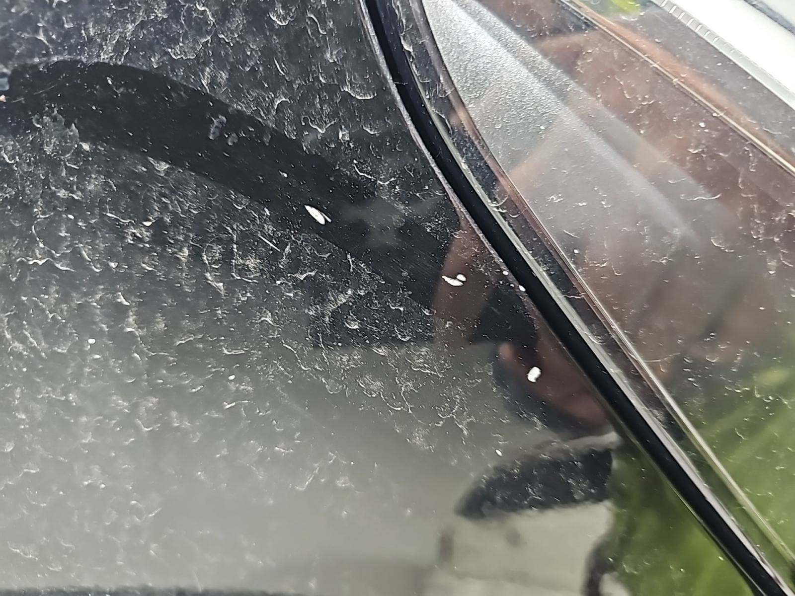 2021 Tesla Model 3 Standard Range Plus RWD