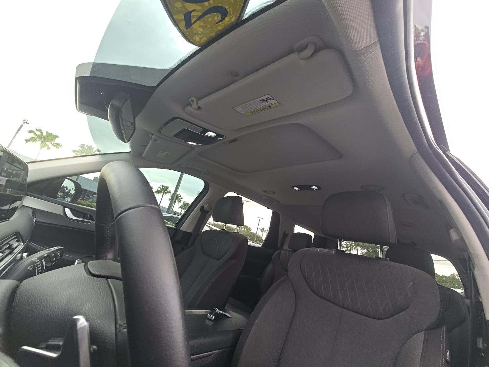 HYUNDAI PALISADE - 7