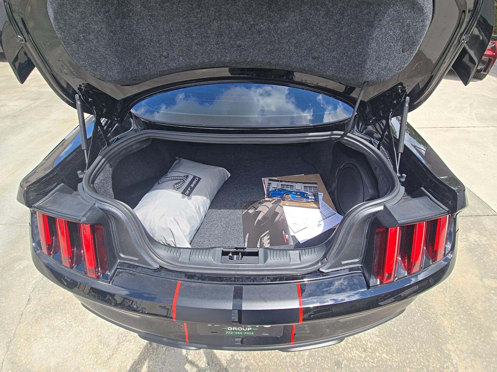 FORD MUSTANG - 10