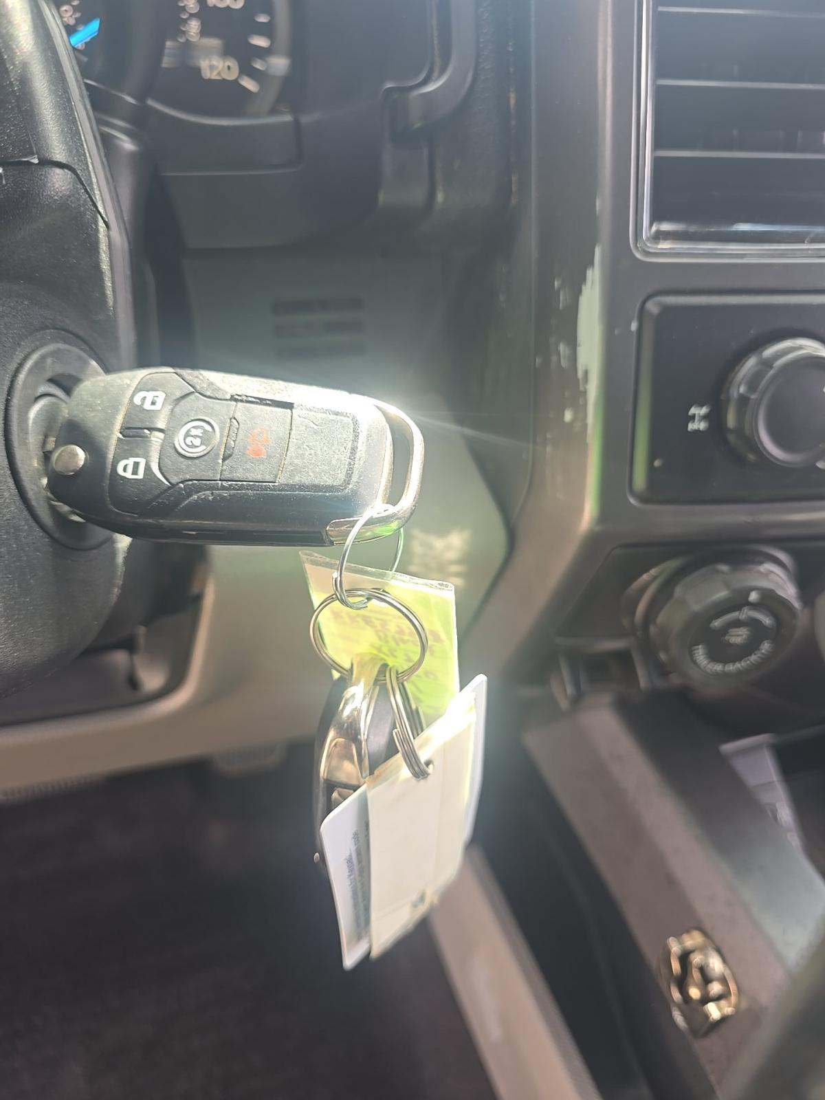 2019 Ford F-150 XLT RWD