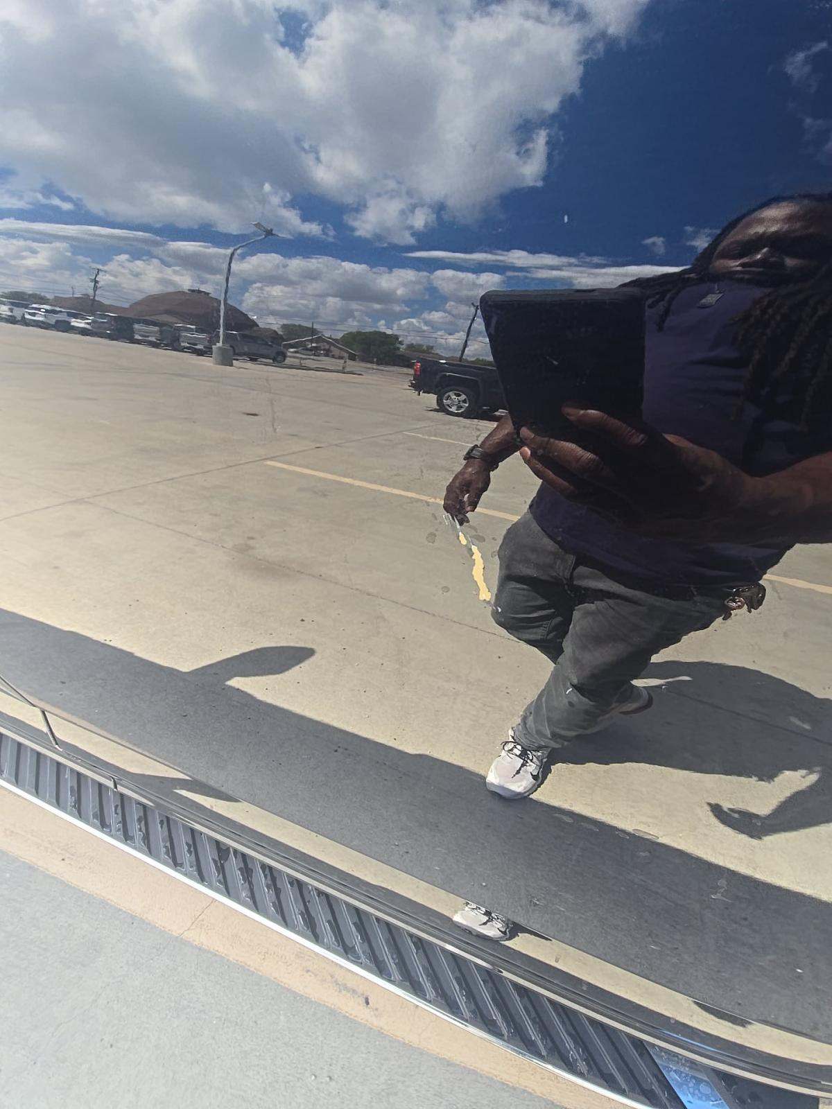 2019 Ford F-150 XLT RWD