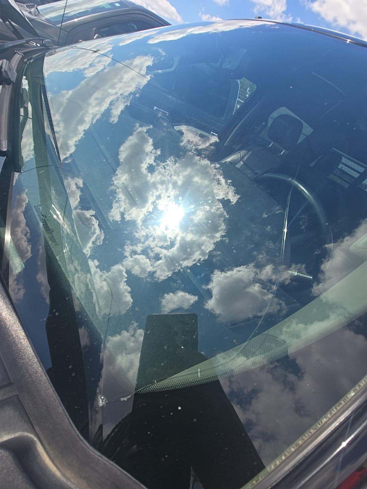 2019 Ford F-150 XLT RWD