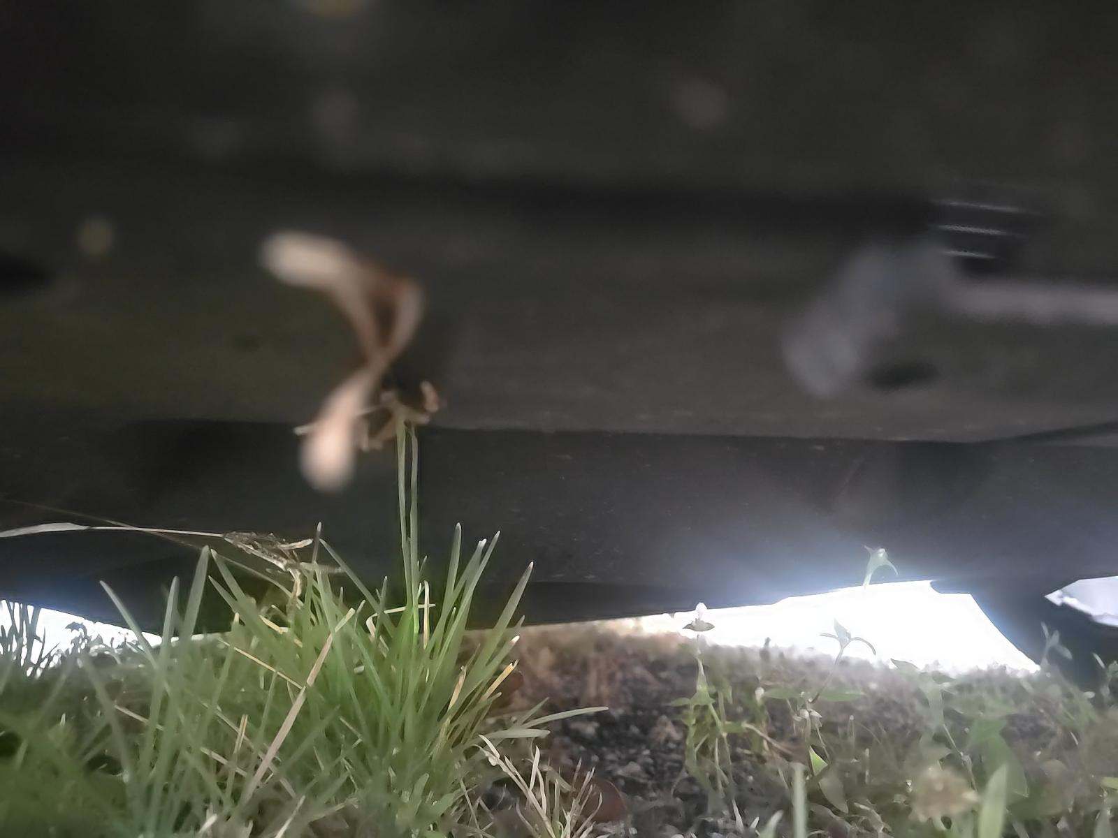 2023 Dodge Charger GT RWD