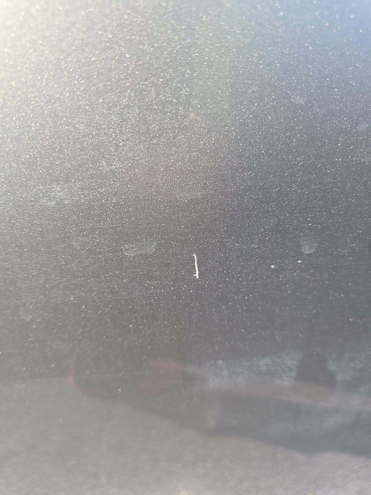 2023 Lexus IS IS 350 F SPORT RWD