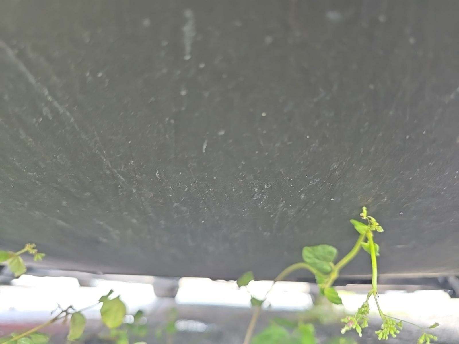 2022 Tesla Model 3 Long Range AWD