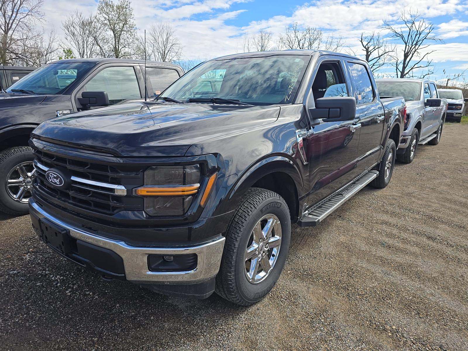 FORD F-150 - 1