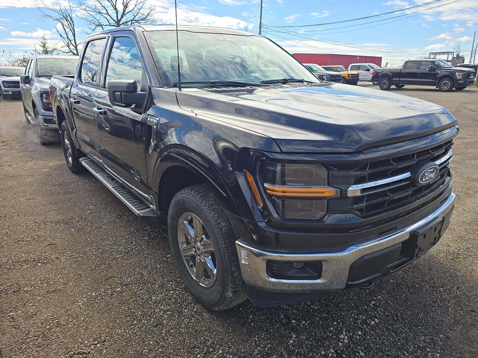FORD F-150 - 4