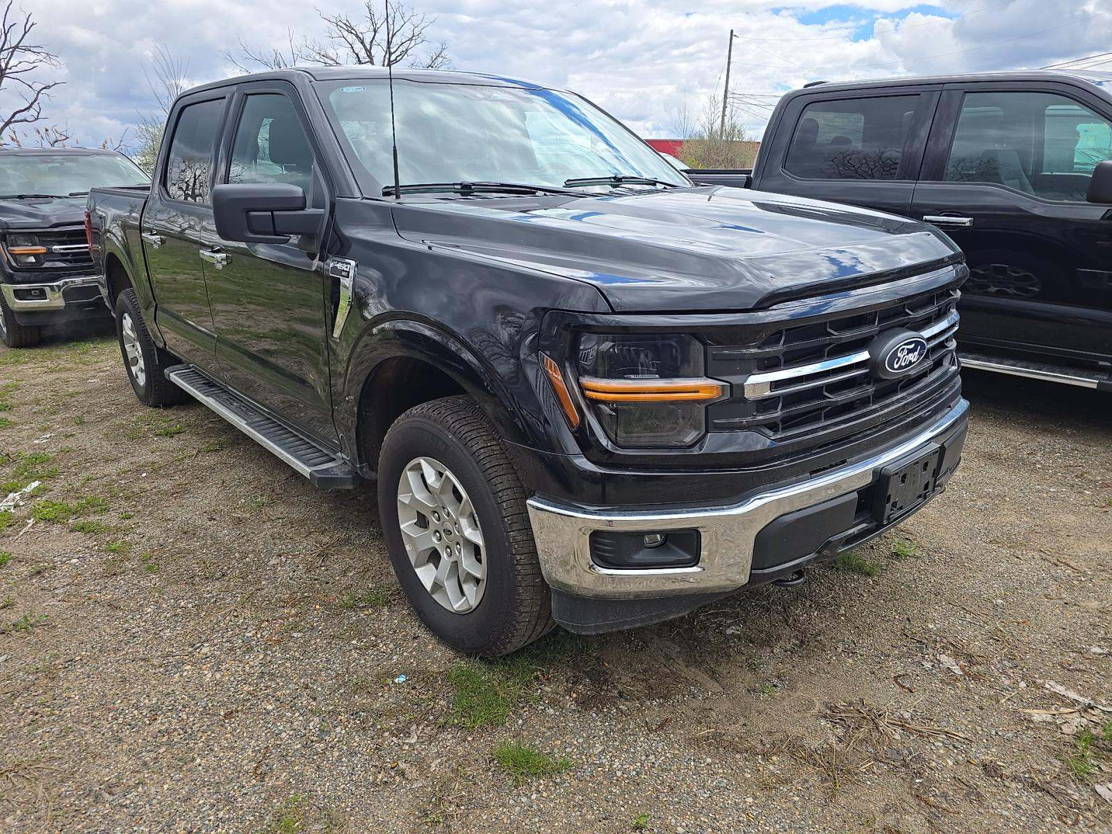 FORD F-150 - 4