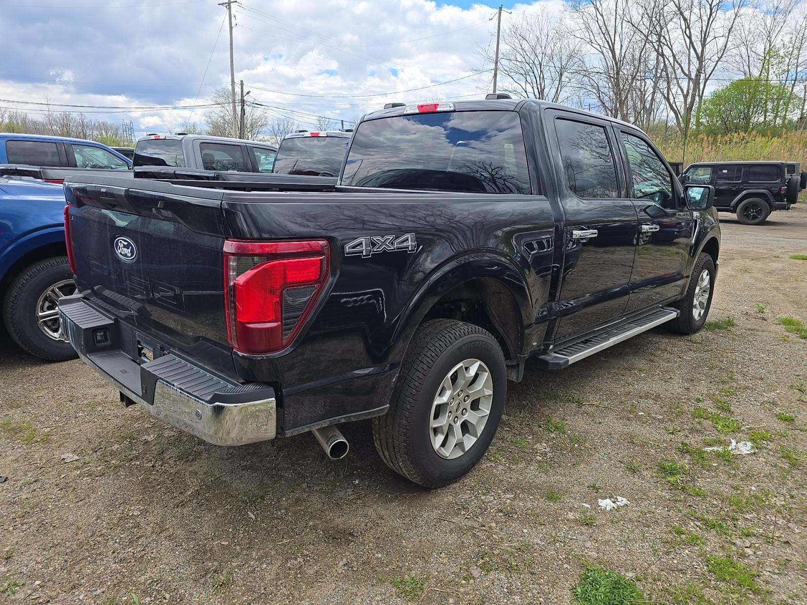 FORD F-150 - 3