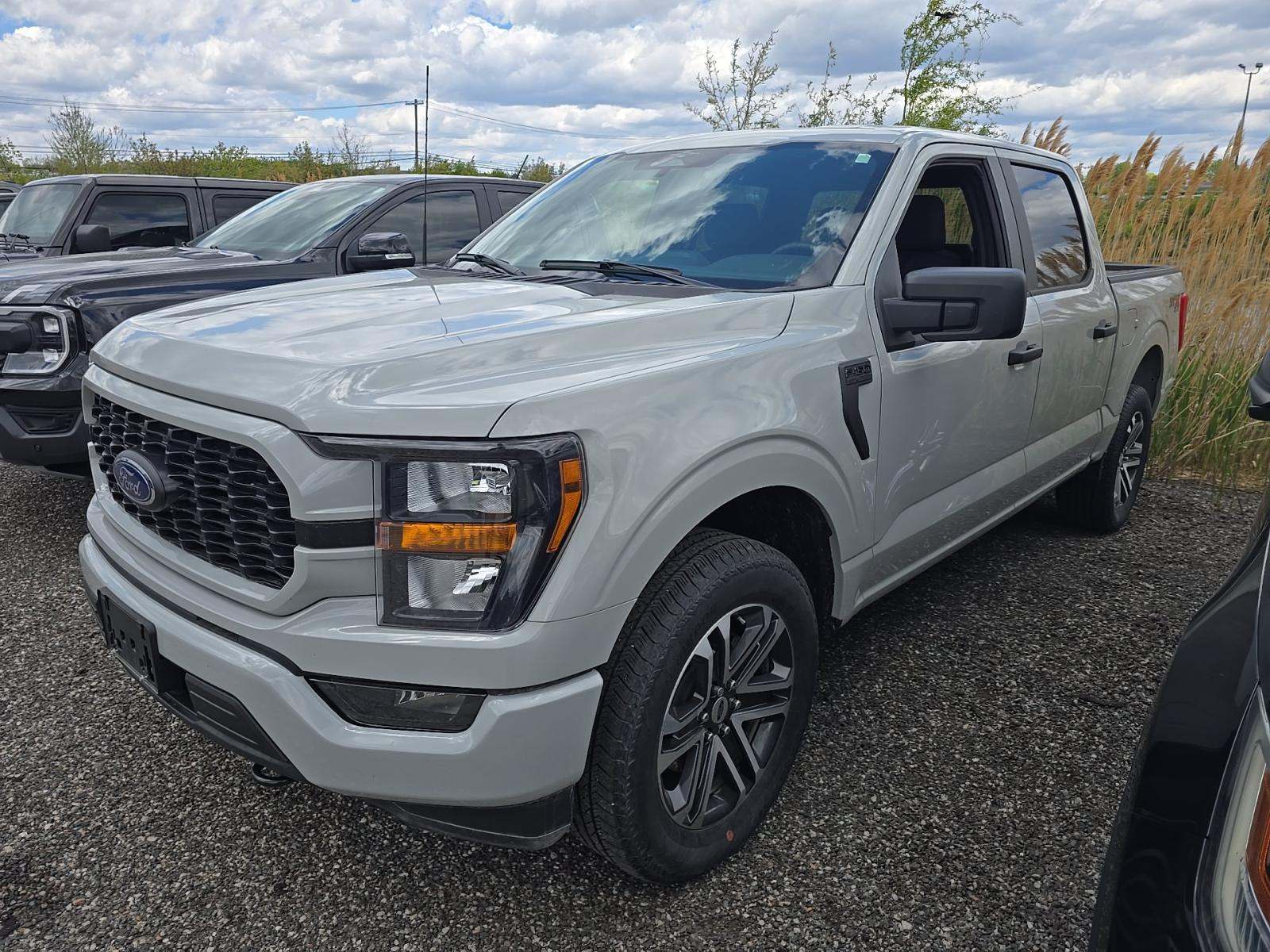 FORD F-150 - 1