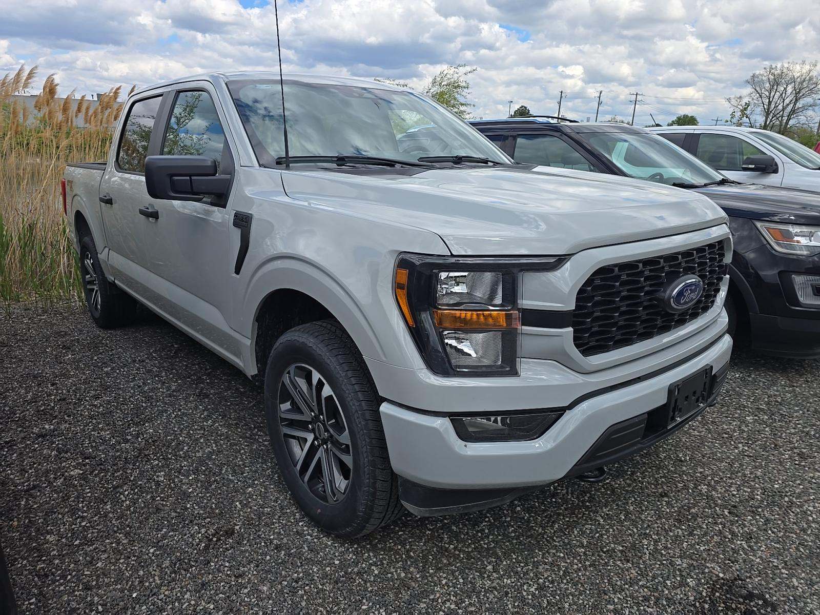 FORD F-150 - 4