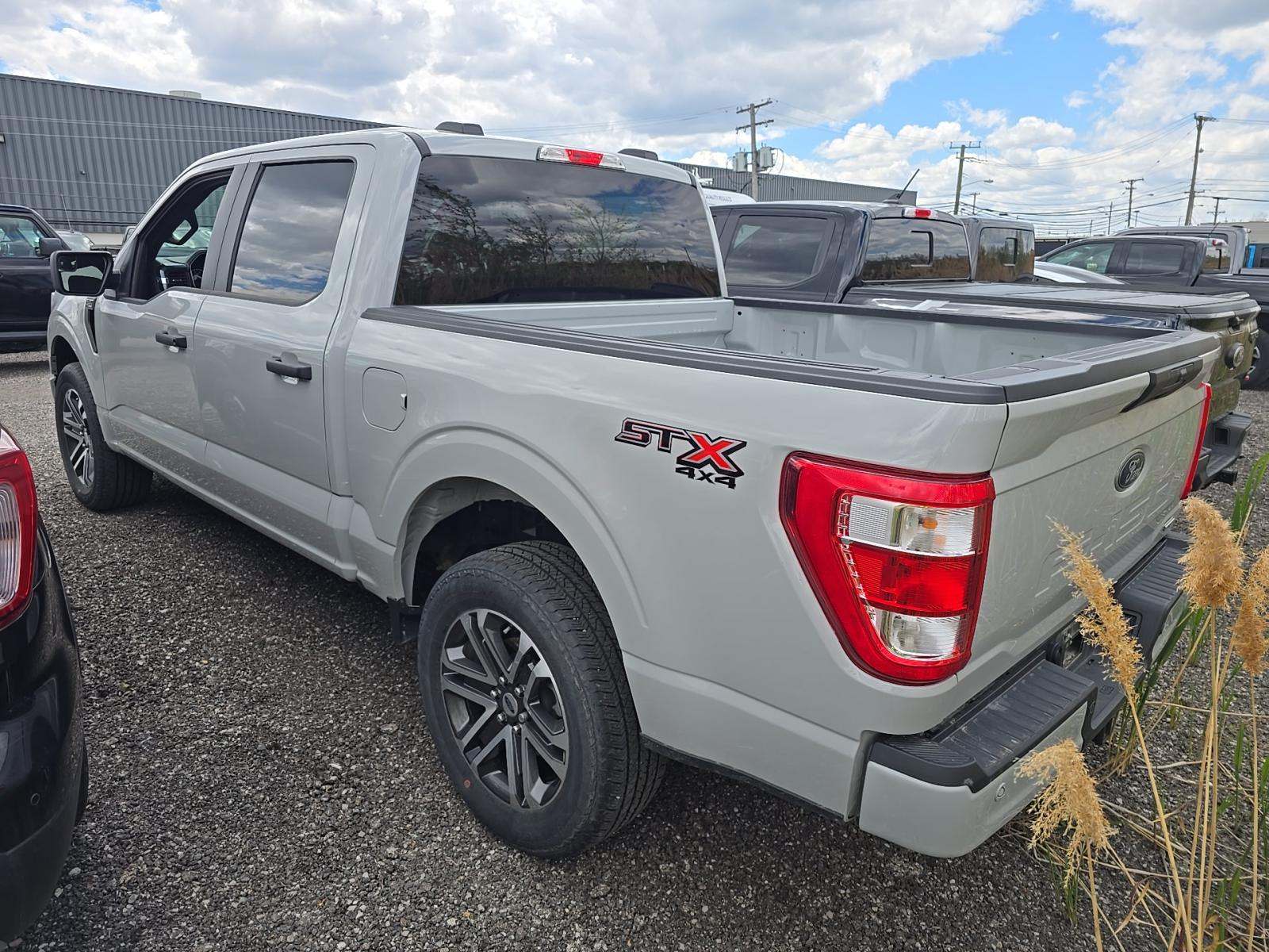 FORD F-150 - 2