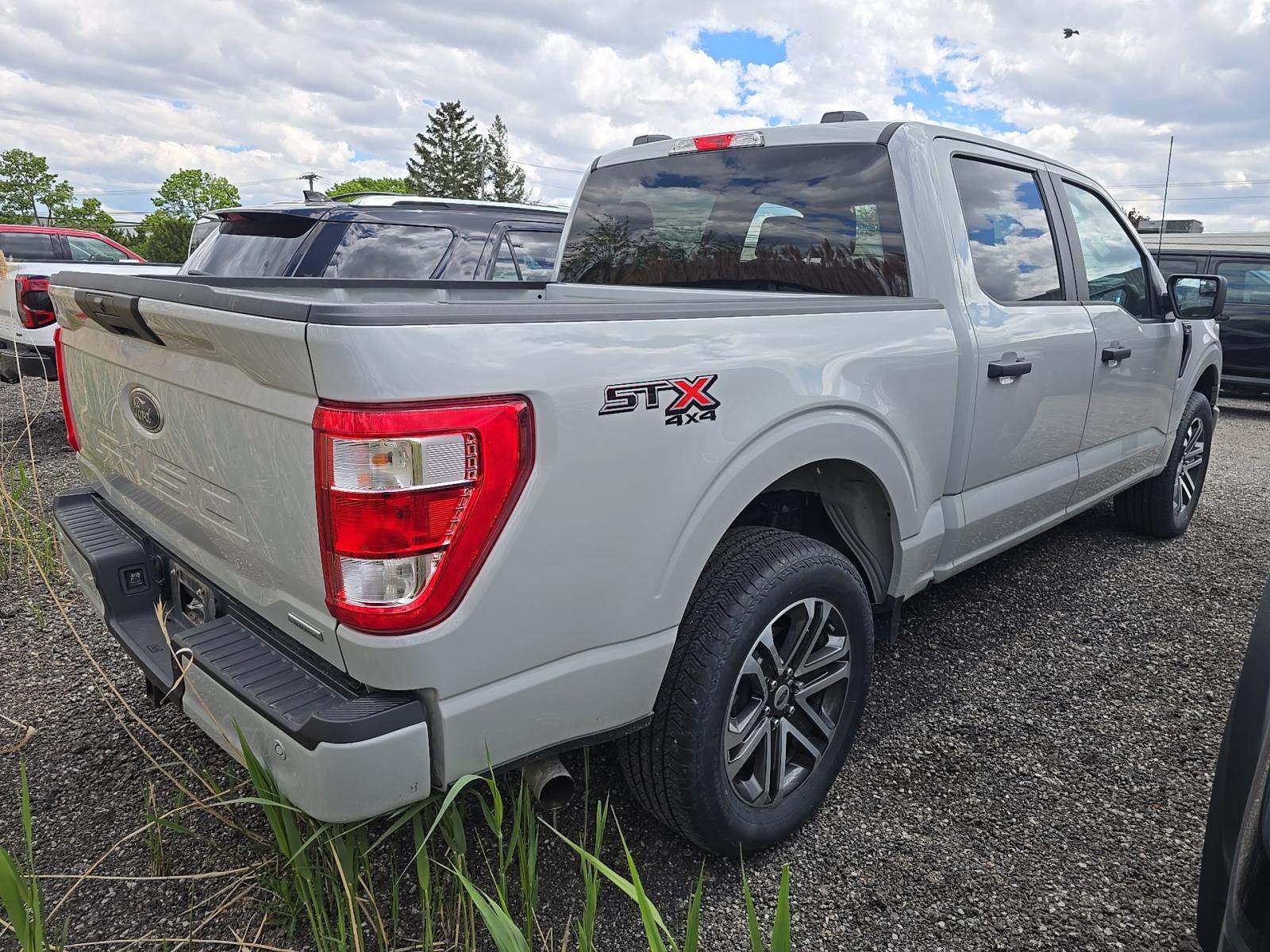 FORD F-150 - 3