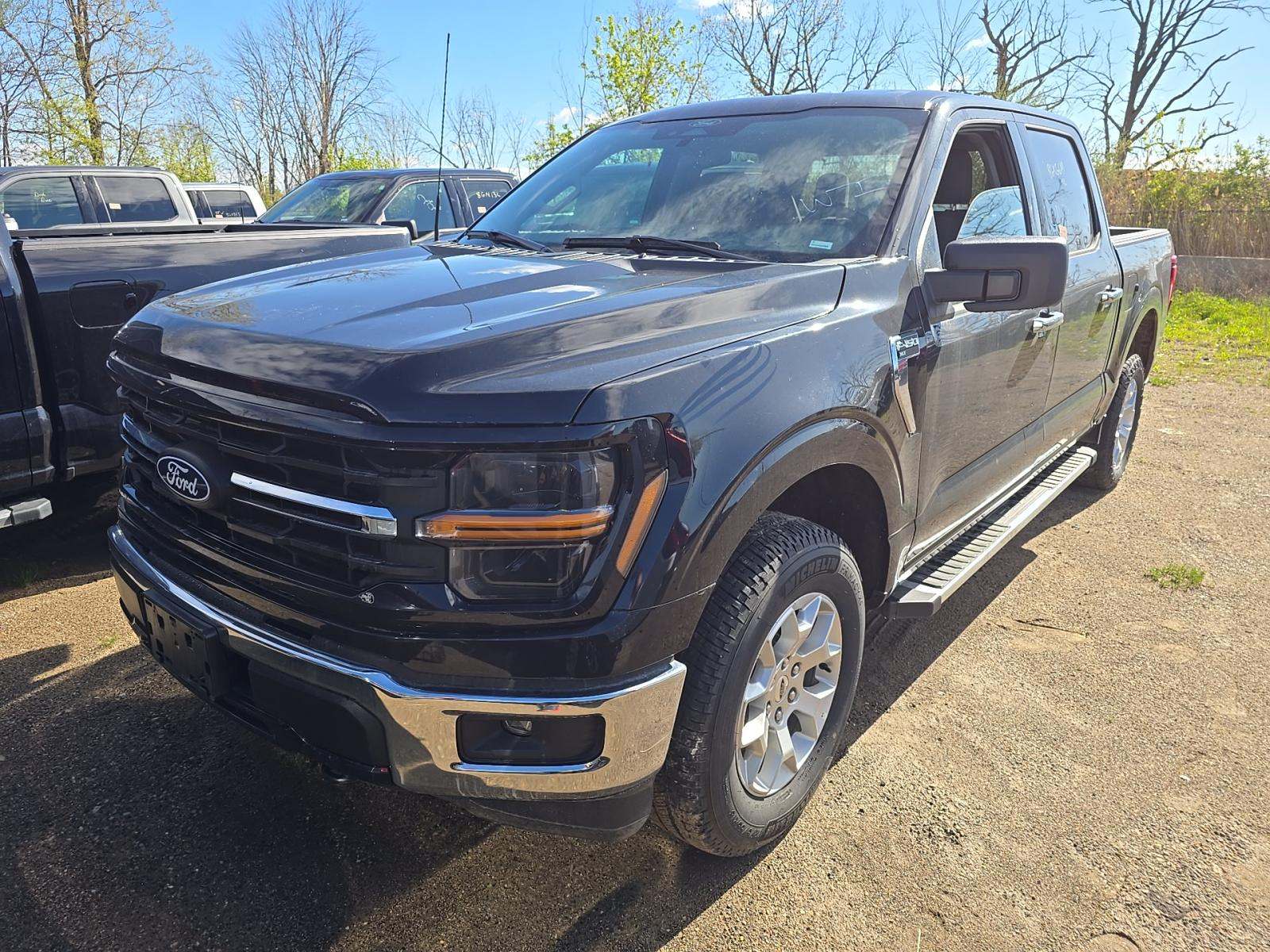 FORD F-150 - 1