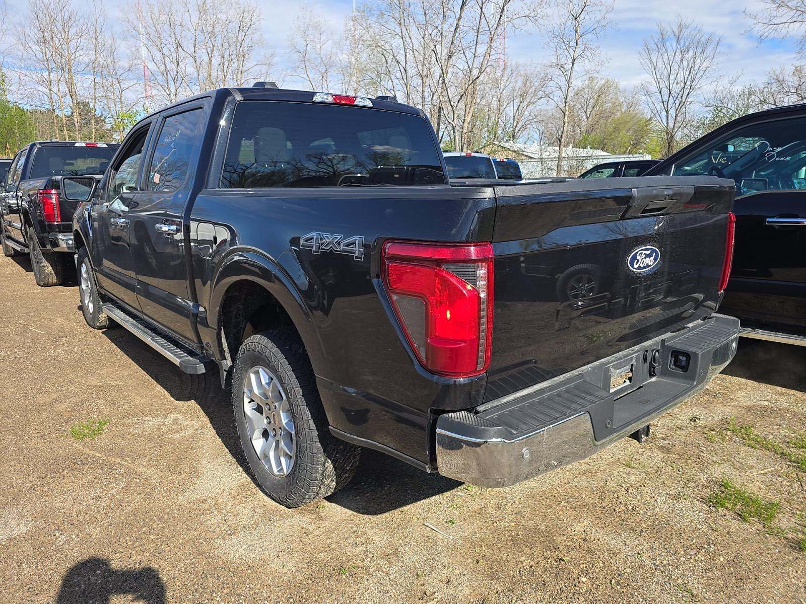 FORD F-150 - 2