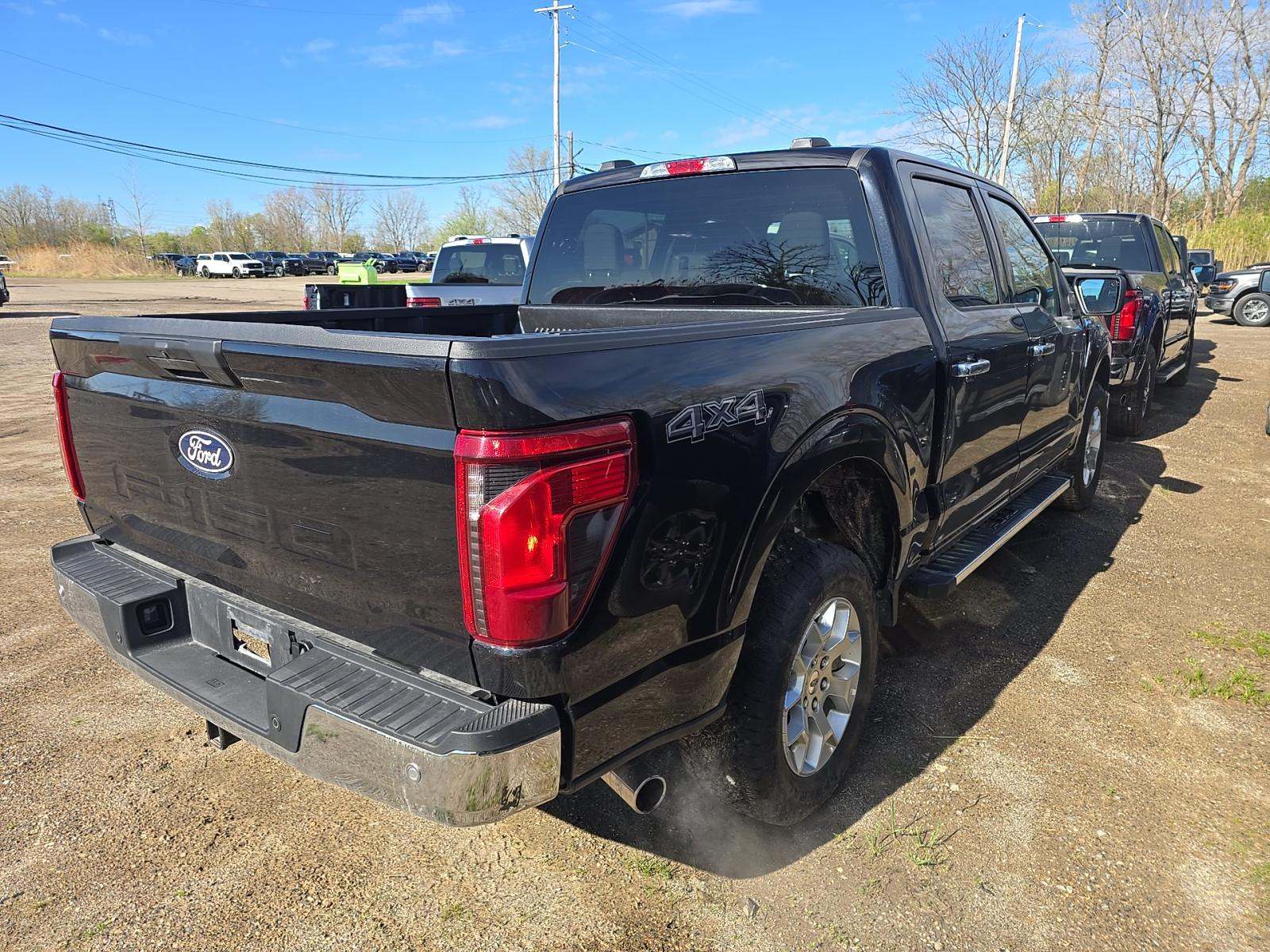 FORD F-150 - 3