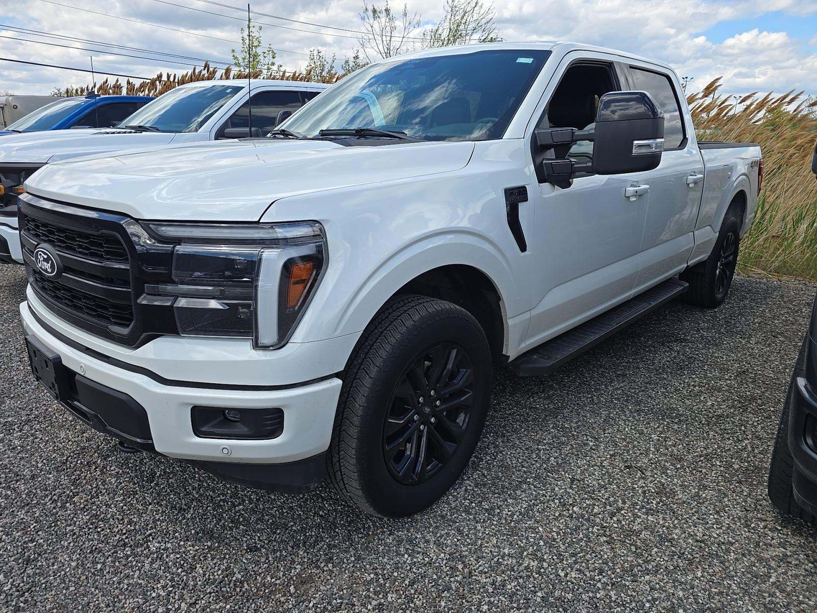 FORD F-150 - 1