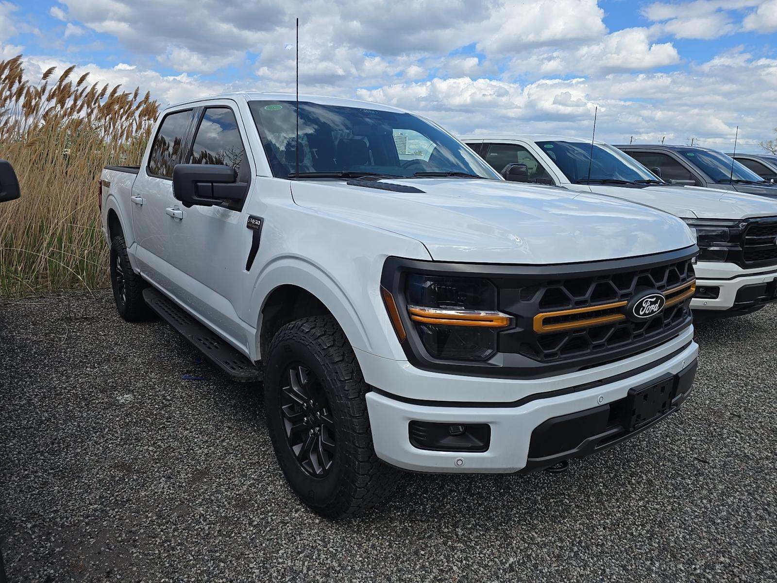 2025 Ford F-150 Tremor AWD