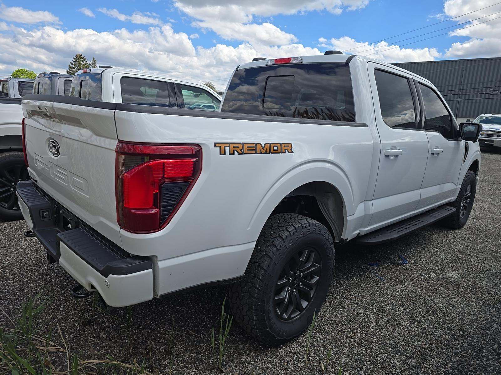 2025 Ford F-150 Tremor AWD
