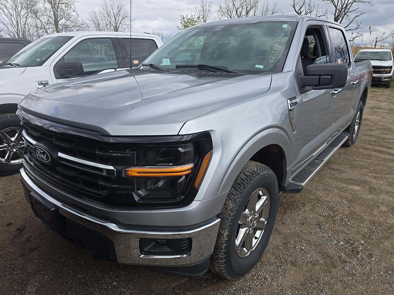 FORD F-150 - 1