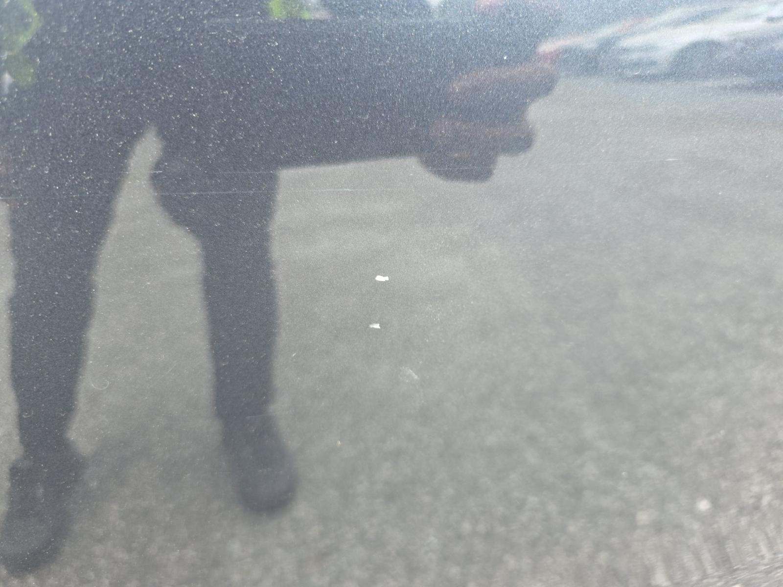 2019 BMW X5 xDrive50i AWD