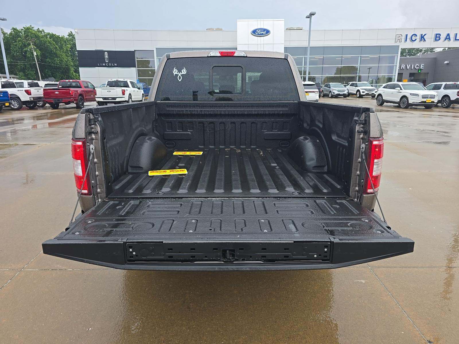 FORD F-150 - 10