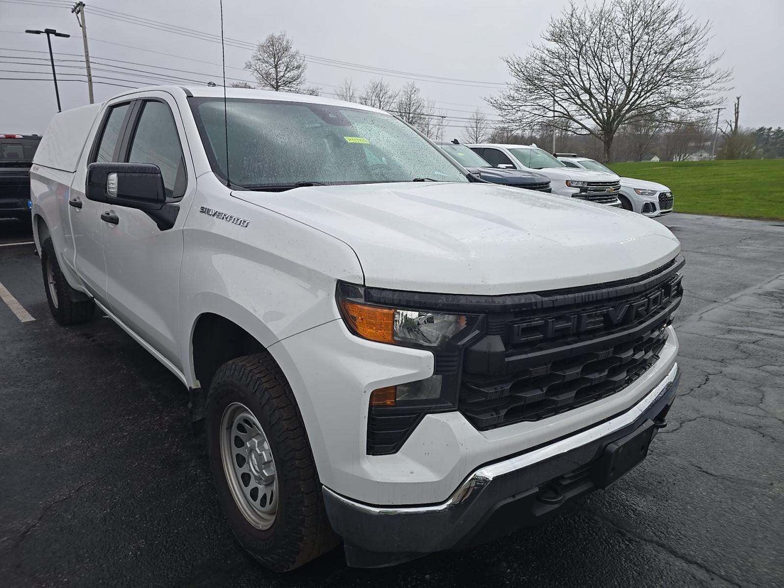 CHEVROLET WORK TRUCK - 4