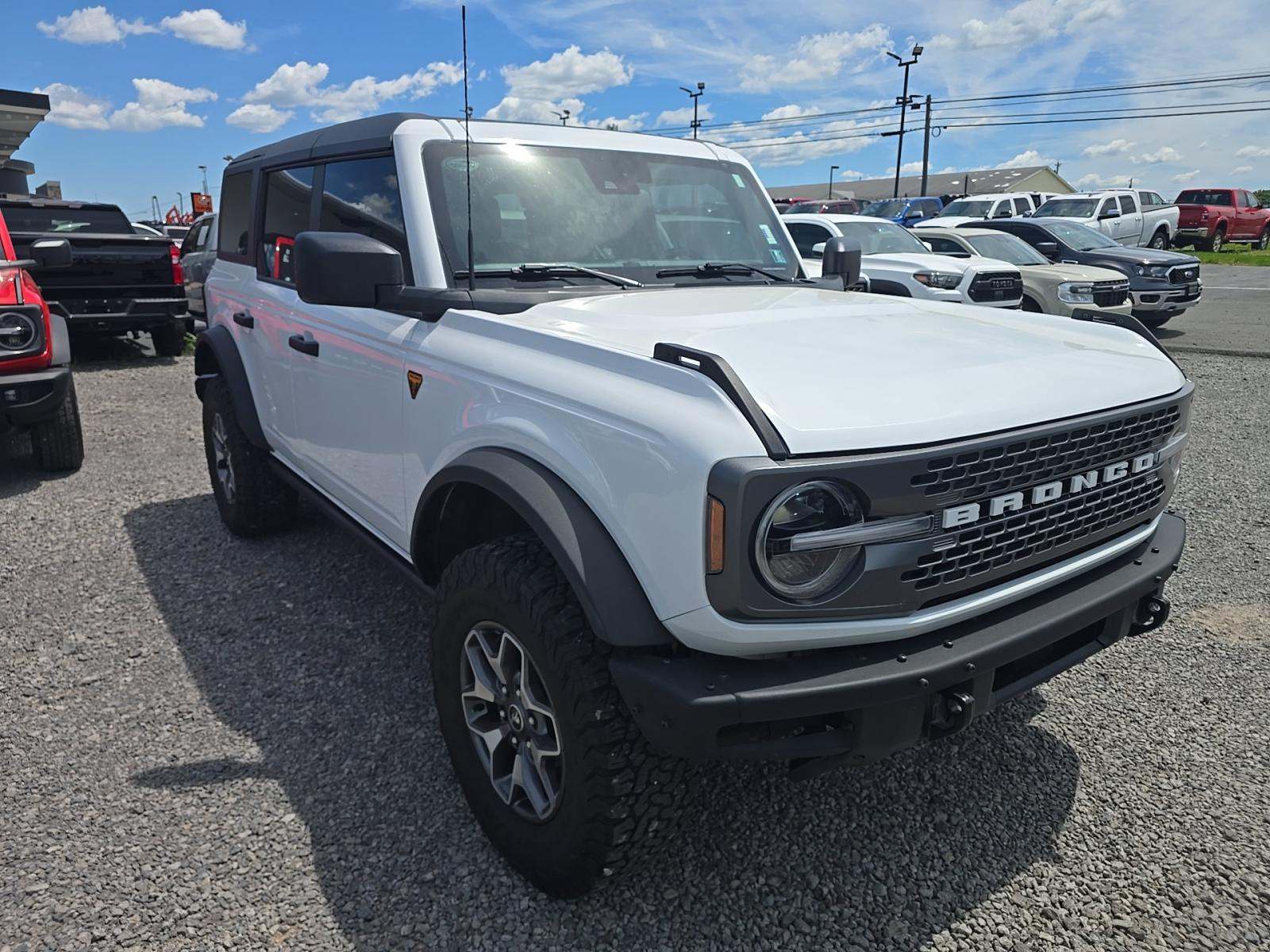 FORD BRONCO - 4