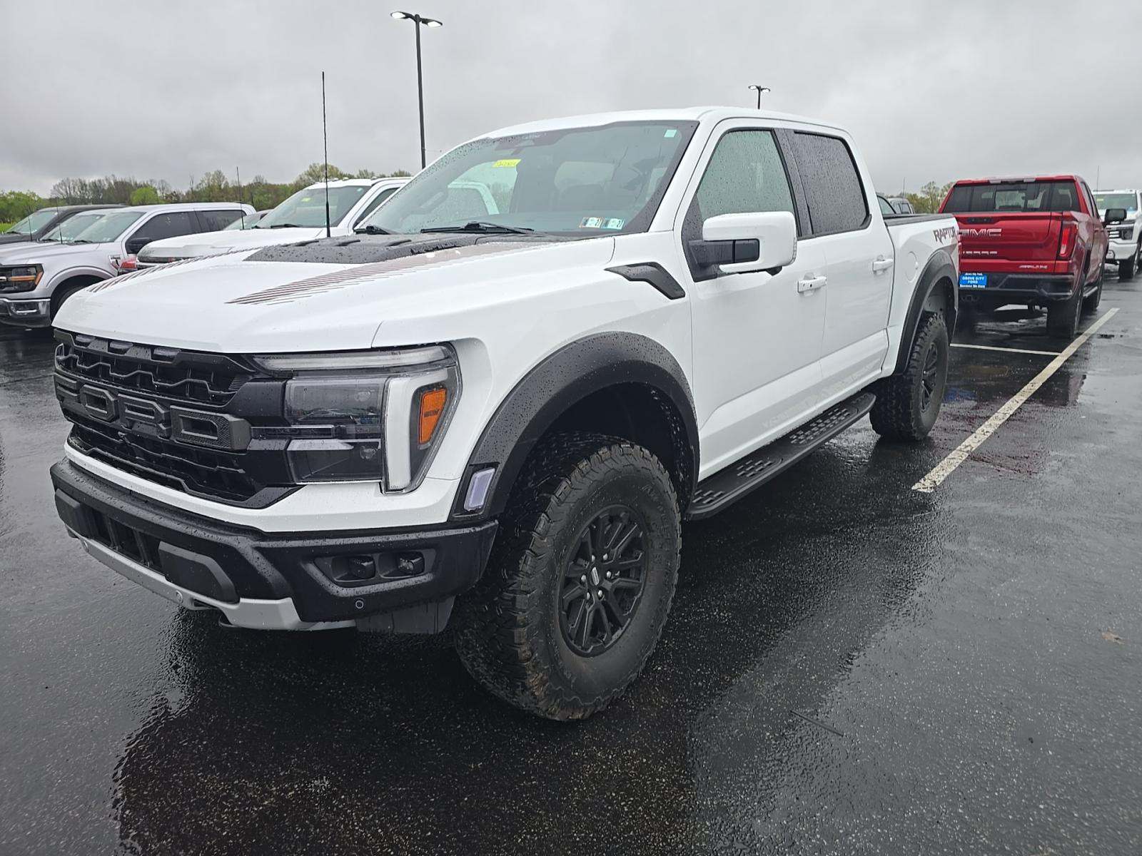 FORD F-150 - 1