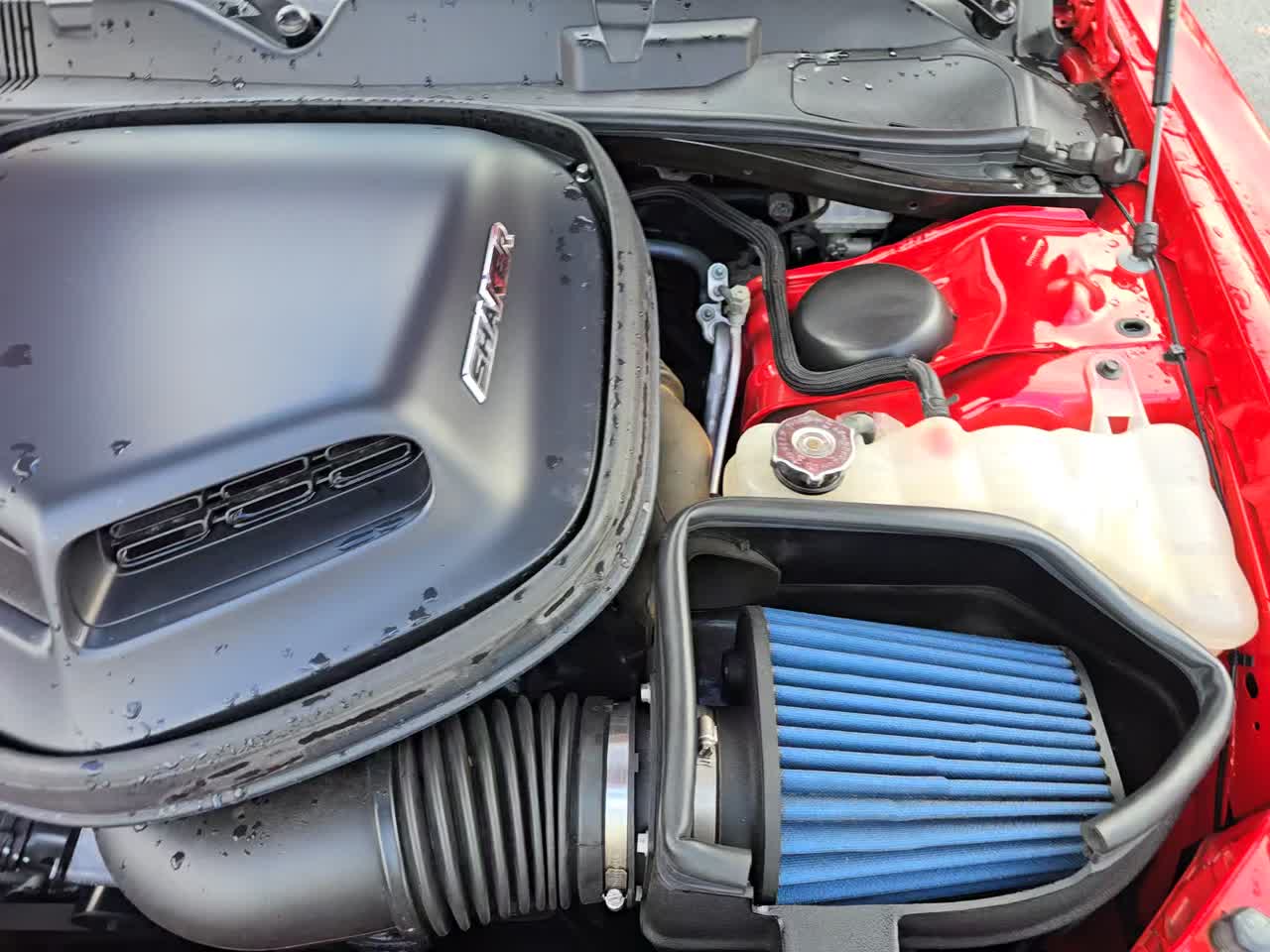 2022 Dodge Challenger R/T RWD