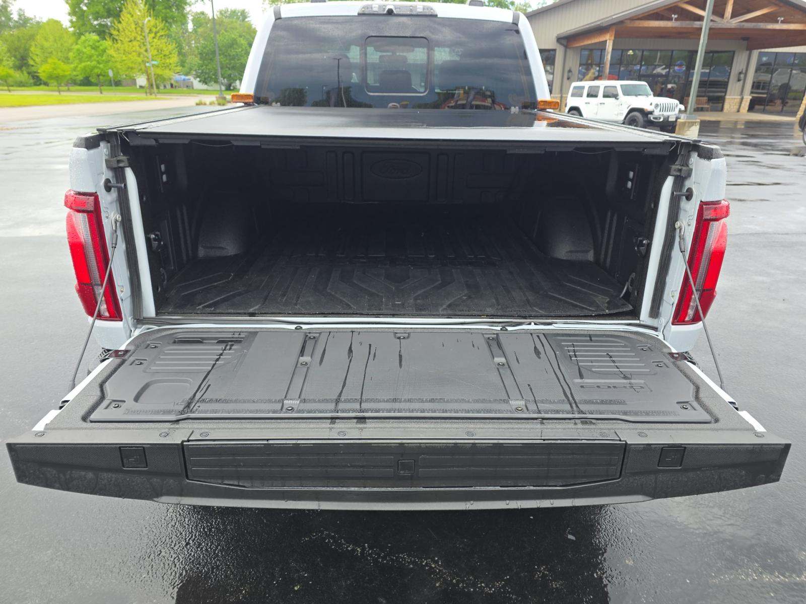 FORD F-150 - 10