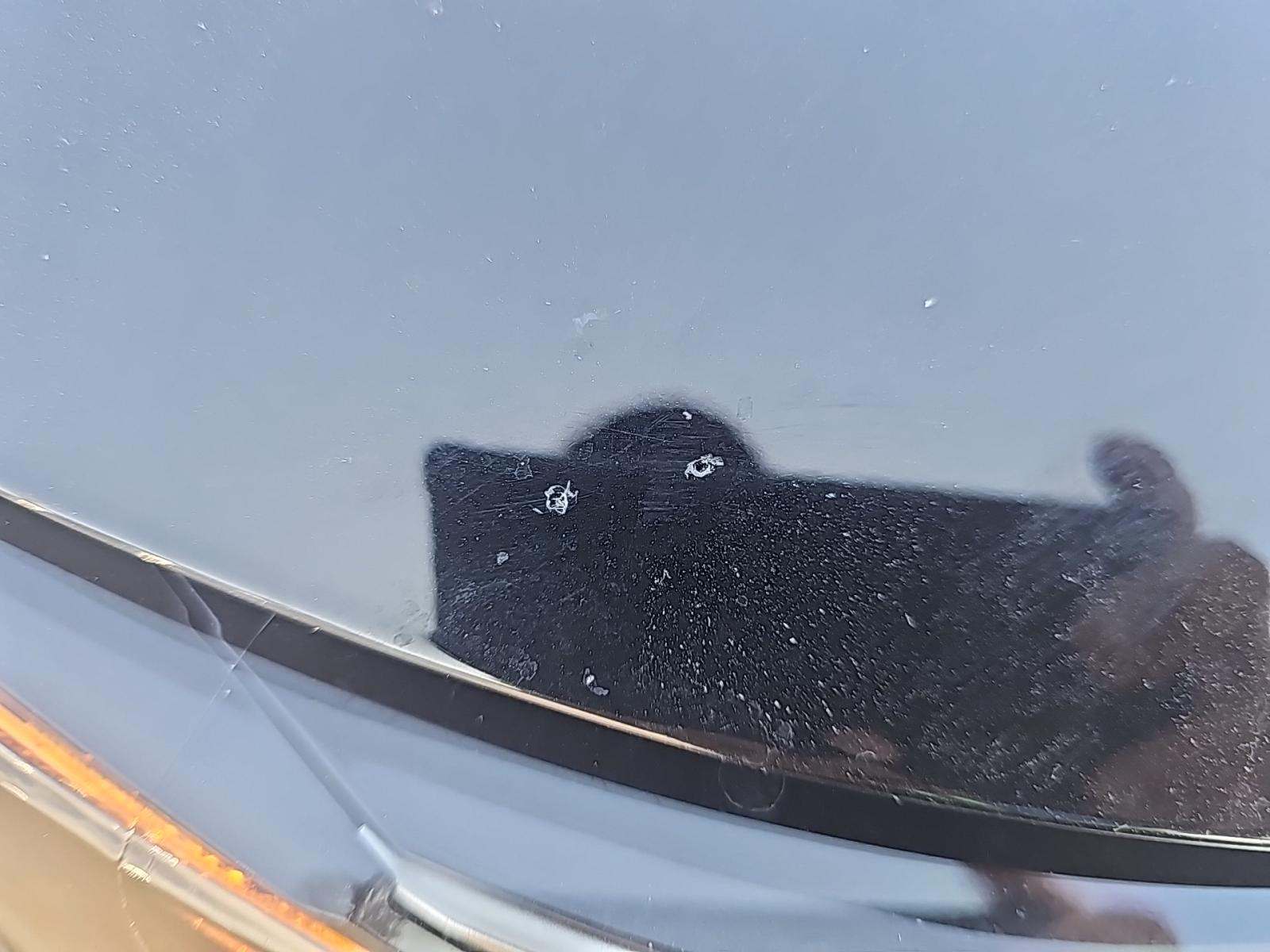 2023 Toyota RAV4 XLE FWD