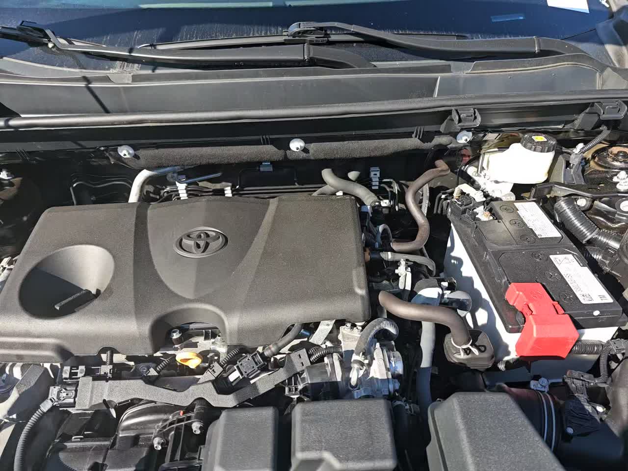 2023 Toyota RAV4 XLE FWD