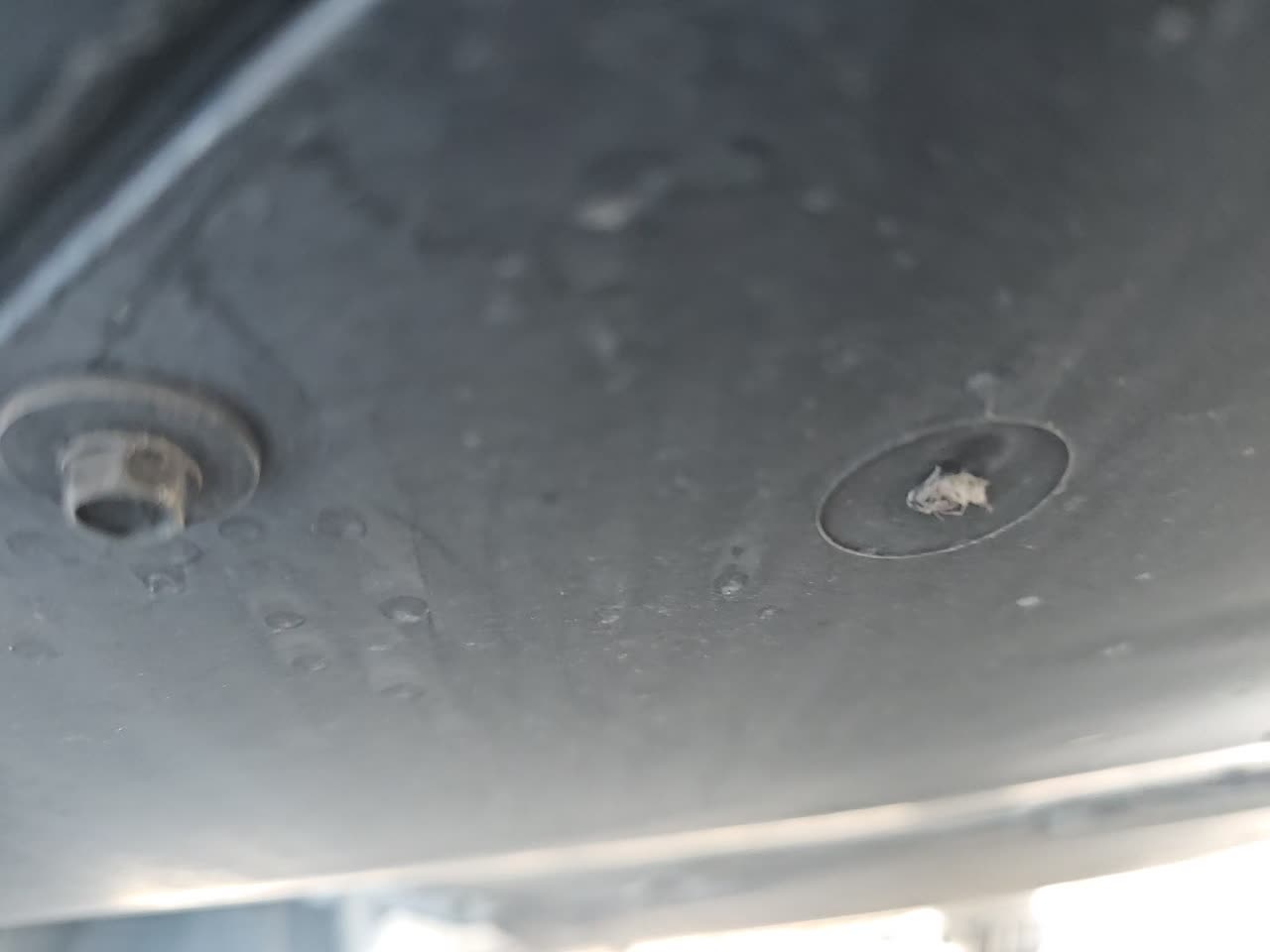 2023 Chevrolet Corvette Z06 RWD