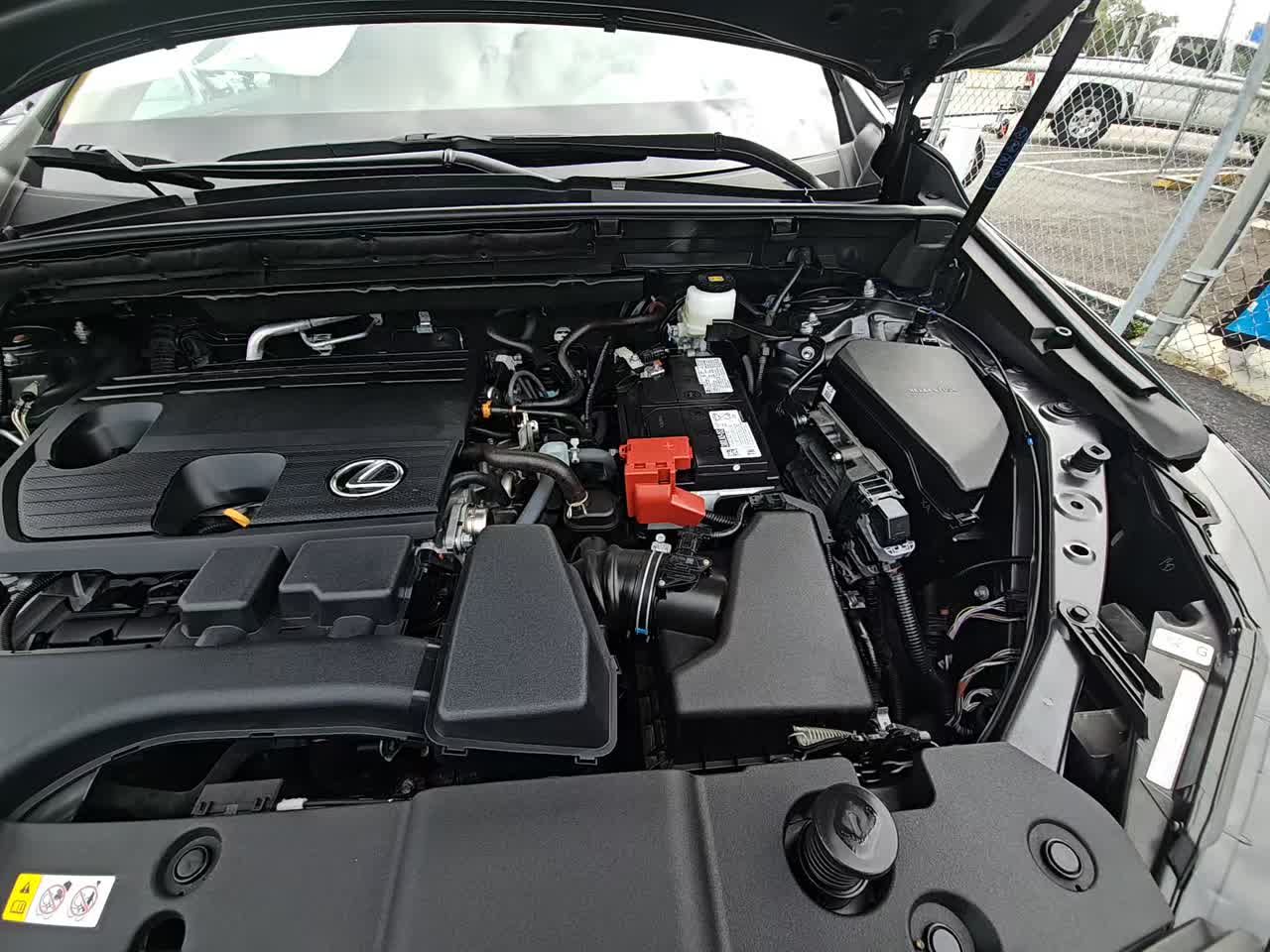 2025 Lexus NX NX 250 FWD