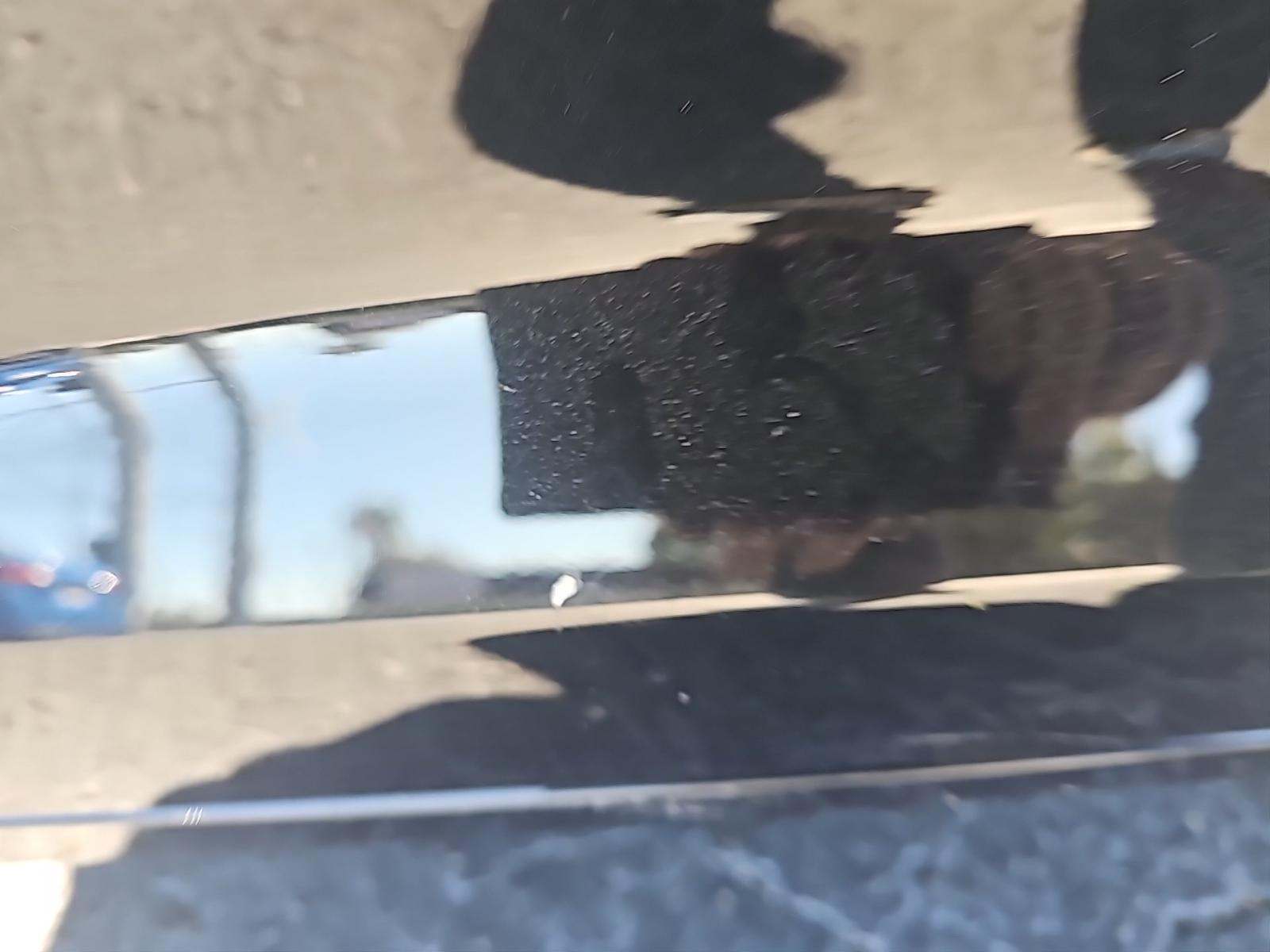 2024 Audi A6 Premium Plus AWD